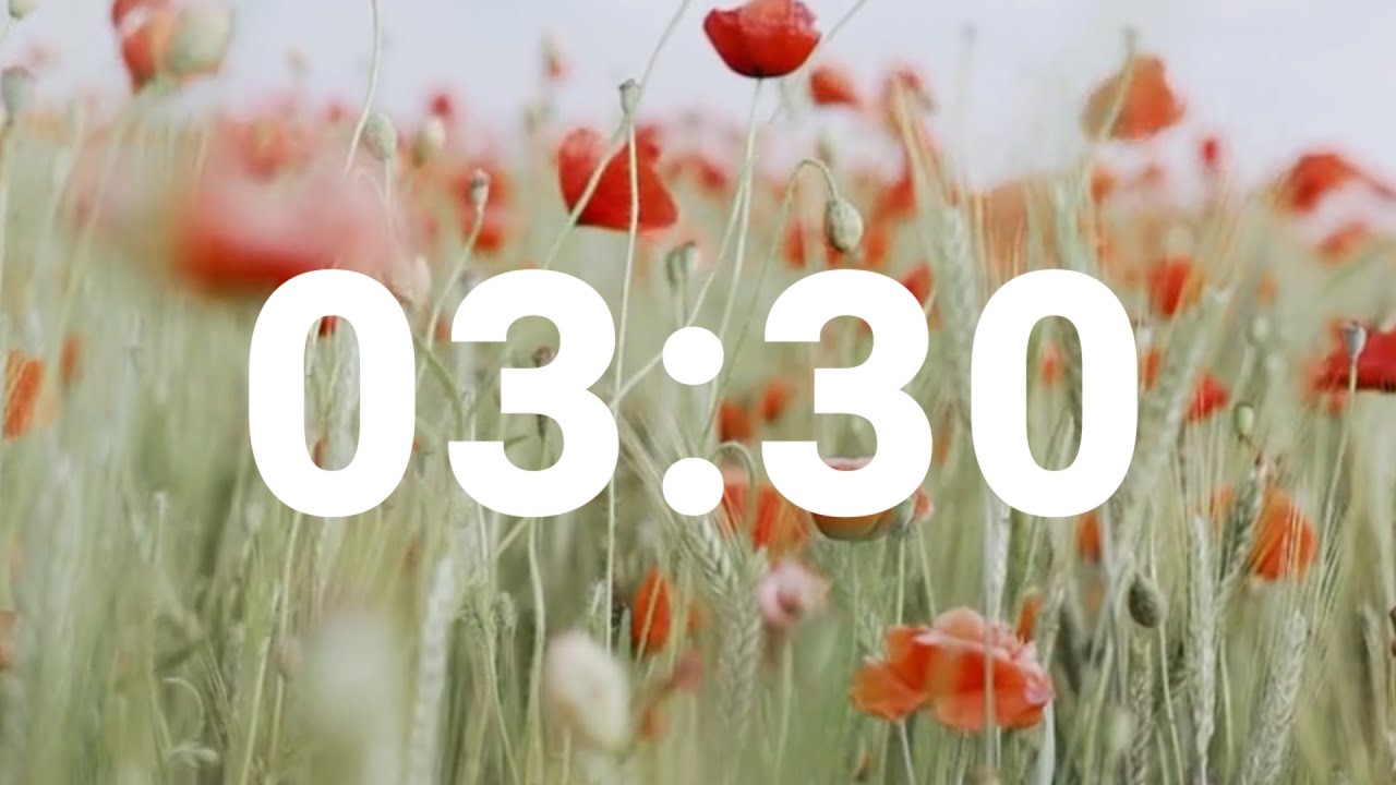 3 Minute 30 Second Timer With Relaxing Music And Alarm Countdown Clock 3-minute-30-second-timer-with-relaxing-music-and-alarm-countdown-clock