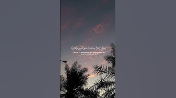 ويقول الإنسان إِذَا مامت لسوف أخرج شاشة سوداء -القارئ عبدالرحمن مسعد سورة مريم #رحيق_الايمان