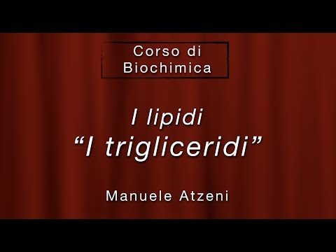 Video: Quale processo descrive la sintesi dei trigliceridi?