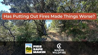 Has Putting Out Fires Made Things Worse?"