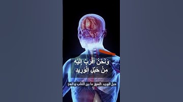 تلاوة خاشعة من سورة ق للشيخ سعود الشريم