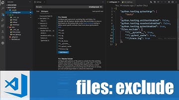สอน Visual Studio Code: การไม่แสดงบางไฟล์และโฟลเดอร์ใน Explorer (files exclude)