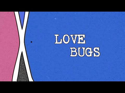Love Bugs | Sigla e grafiche