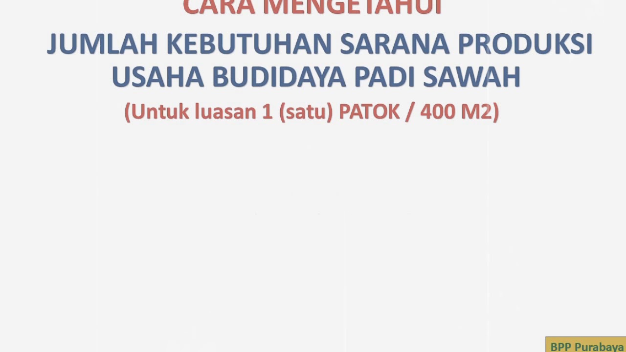 BUDIDAYA PADI SAWAH 
