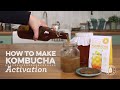 How to Activate a Dehydrated Kombucha Scoby