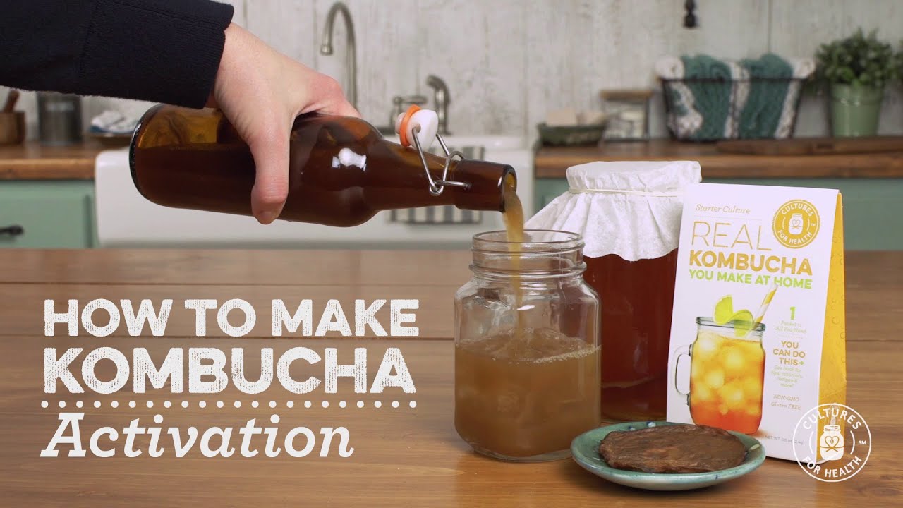 How to Activate a Dehydrated Kombucha Scoby YouTube