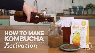 How to Activate a Dehydrated Kombucha Scoby
