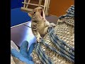 YAWN: Pepito during physical rehab