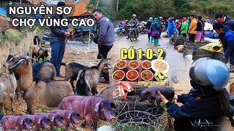 Đột Nhập Chợ Cốc Ly Bắc Hà – Lợn Cắp Nách, Dê Núi & Cảnh Mua Bán Kịch Tính Chưa Từng Thấy!
