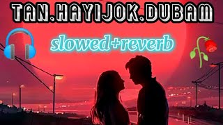 Tan_Hayijok_Dubam _Slowed+reverb _Shina_Song/Salman paras_Shina slowed &reverb songs/Shina new songs