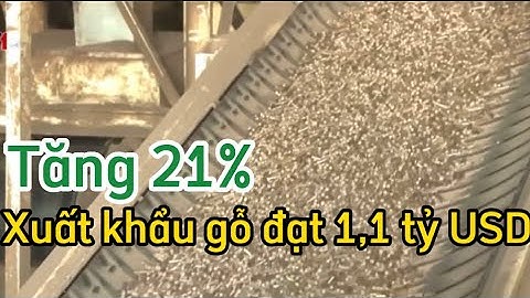 Nông sản xuất khẩu - P1 | Xuất khẩu gỗ VN 9 tháng 2022 phát triển khởi sắc