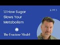 How Sugar Slows Your Metabolism | The Fructose Model 1.1