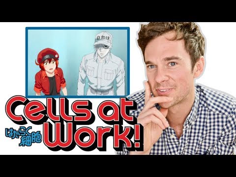 Real DOCTOR reacts to CELLS AT WORK! Anime review