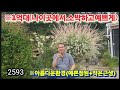 ※정원하나로인생이바뀝니다 #강화도전원주택 #강화도농가주택 #강화도토지 #강화도땅 #강화도농막 #강화도부동산 #김포전원주택 #강화주말주택 #부성부동산Tv