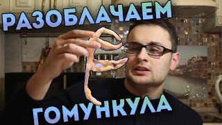 Гомункул - Разоблачаем По Шагам (Homunculus Debunked)