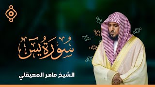 سورة يس والصافات وص  - الشيخ ماهر المعيقلي