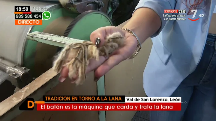 En Val de San Lorenzo tienen fama y cardan lana | ...