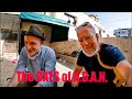 Visiting the cats at adan with gari sullivan