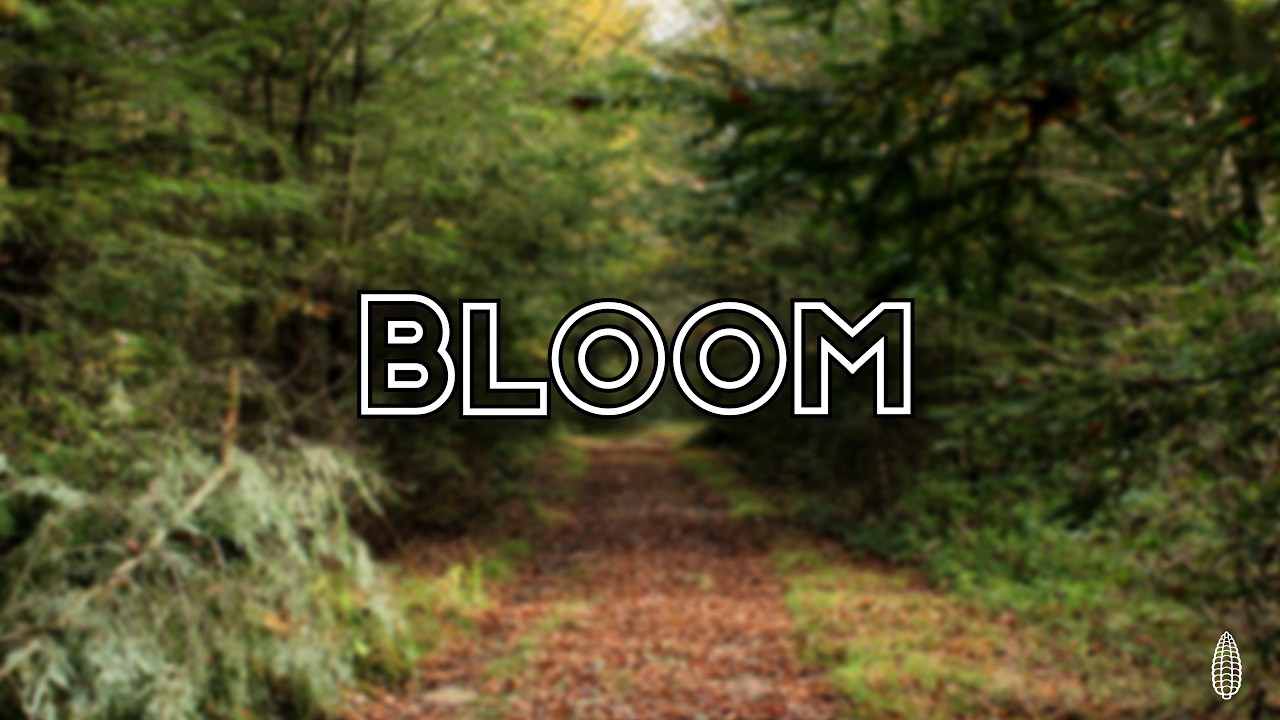 Watch DefinitelyCorn - Bloom on YouTube Watch DefinitelyCorn - Bloom on YouTube