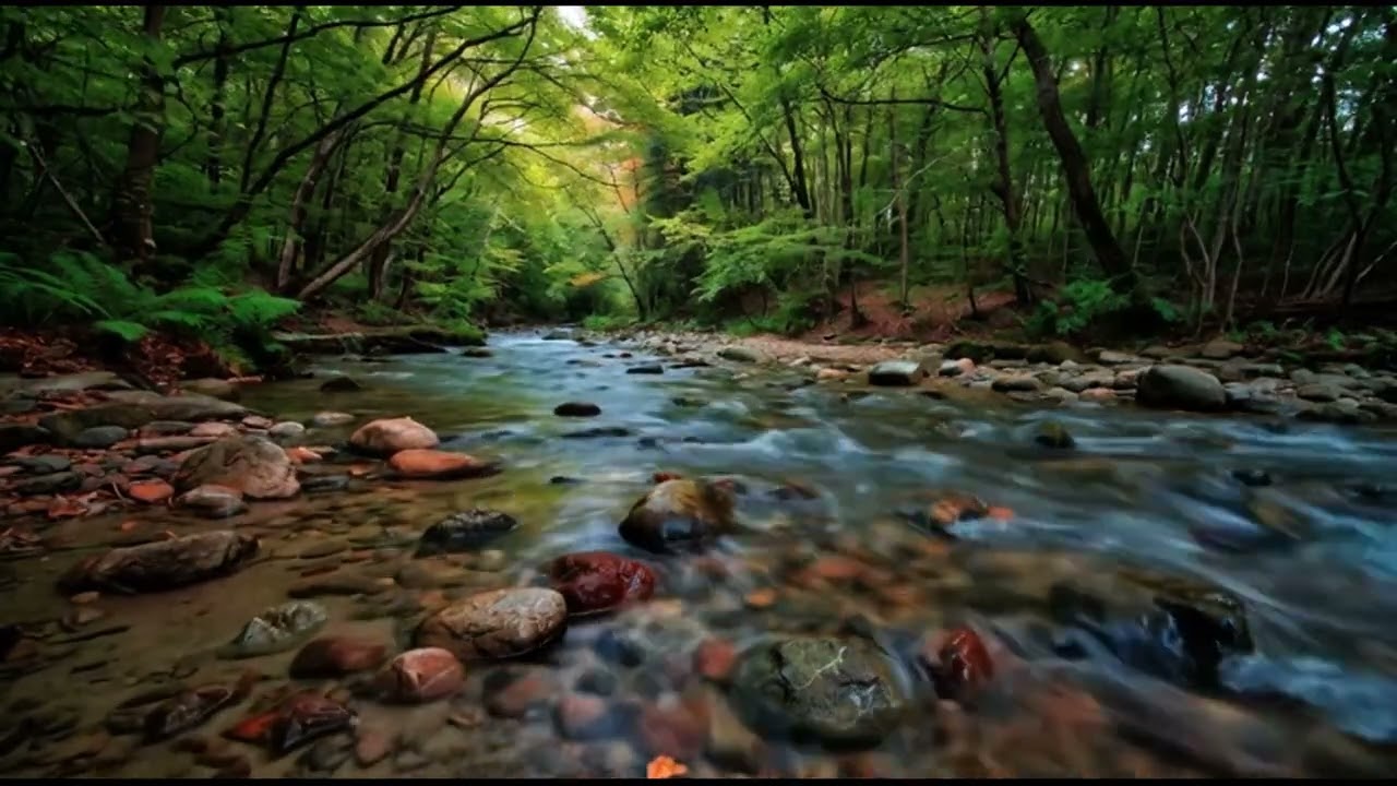 8 HOURS of Deep RELIEF Music​MELTS Stress & Anxiety Away (Ultimate Alpha Waves) FINALLY, Peace.41