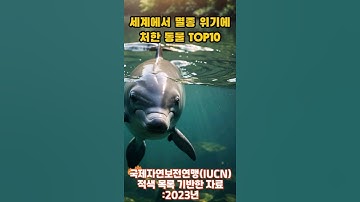 세계에서 멸종 위기에 처한 동물TOP10