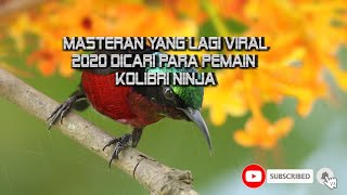 MASTERAN YANG LAGI GENCAR VIRAL 2020 DICARI PARA PEMAIN KONIN
