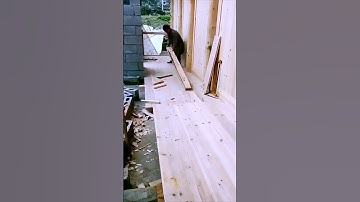 The process of assembling a wooden house - a good way of doing things can increase efficiency