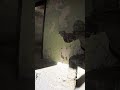 BODYCAM 2024: Реалистичная графика