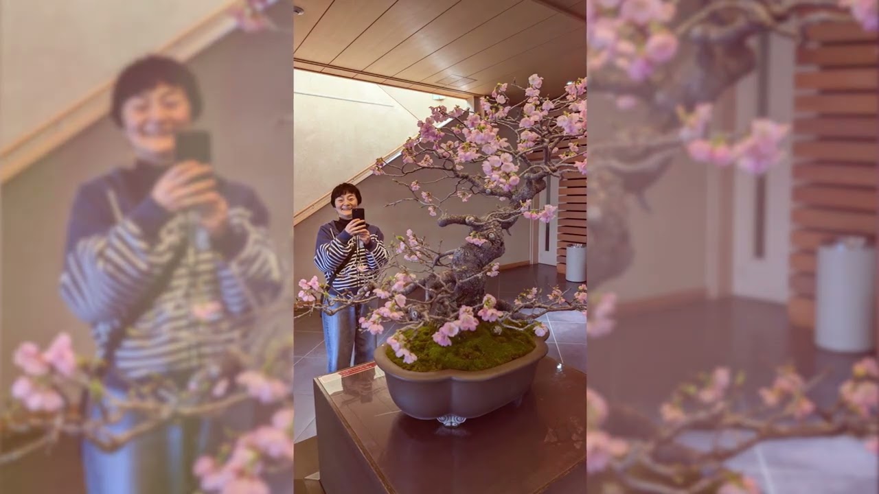 Japan #3  Feb-Mar 2026