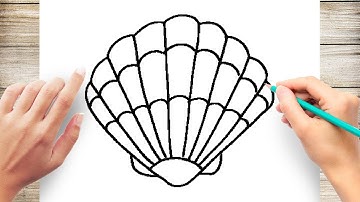 How to Draw a Seashell Step by Step