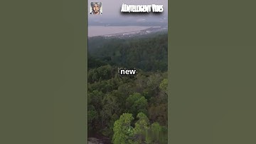 Earth’s Future Transformed! What If Every Tree Grew Back ?#shorts #didyouknow #amazingfacts #facts