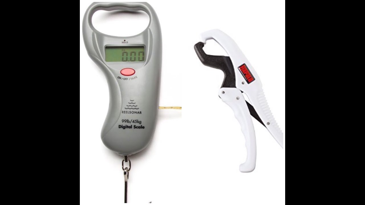 rapala digital fish gripper
