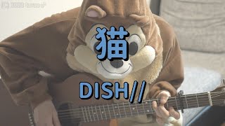 猫／DISH／ギターコード