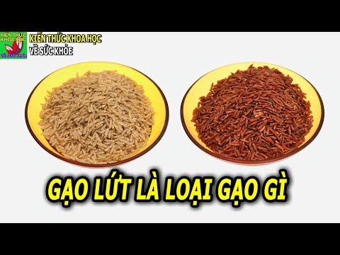 Video: Loại Gạo Lành Mạnh Nhất Là Gì