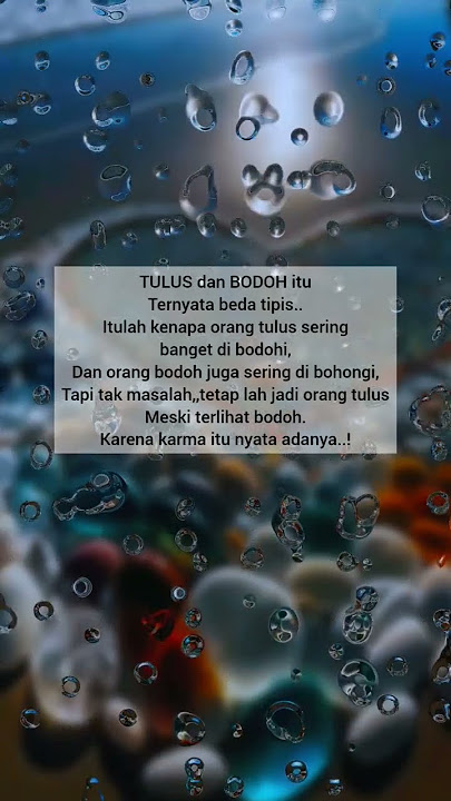 TULUS dan BODOH #shortvideo #storywa
