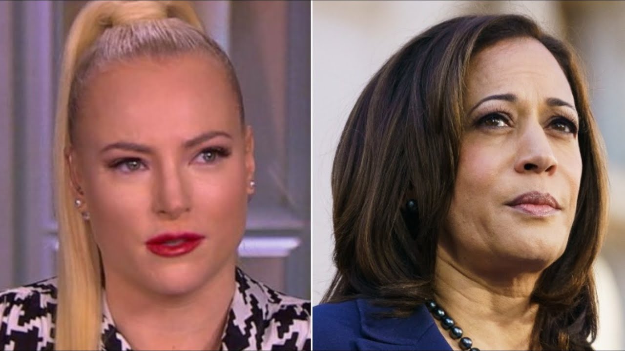 Meghan's Comments About VP Harris Have The Internet Seeing Red