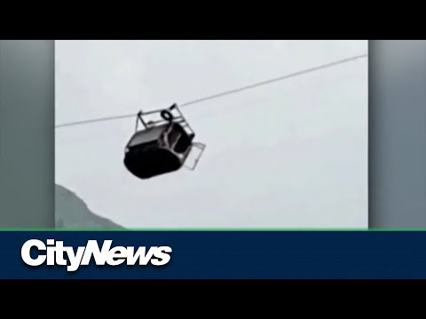 Eight rescued from