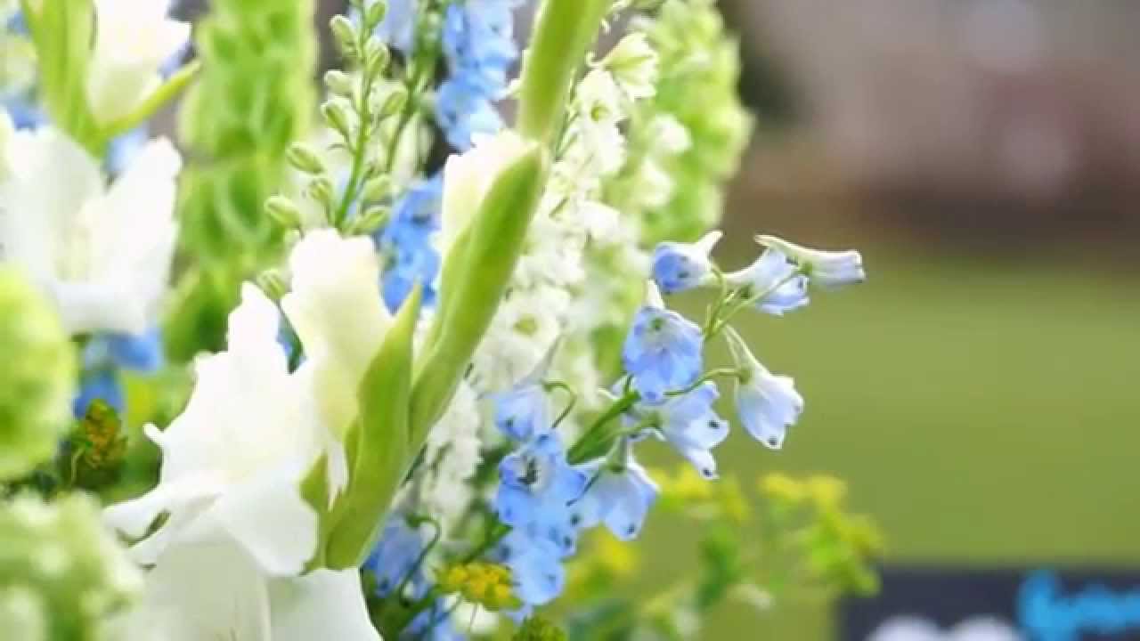 Seth + Kelsey | Silverthorne Colorado Wedding Photographer