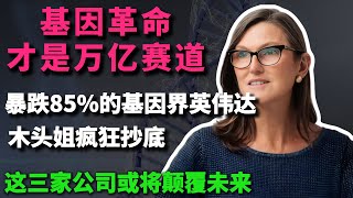 暴跌85%的“基因界英伟达”遭华尔街狂买,木头姐疯狂抄底的“基因革命”才是万亿赛道,这三家公司或将颠覆未来!你还不上车? 暴跌85%的“基因界英伟达”遭华尔街狂买,木头姐疯狂抄底的“基因革命”才是万亿赛道,这三家公司或将颠覆未来!你还不上车?