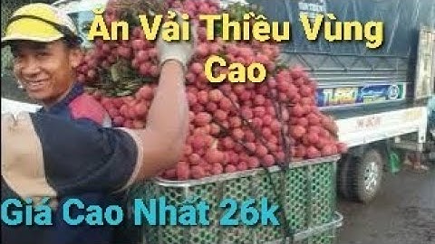 Giá Vải Thiều Cuối Vụ-Ăn Vải Vùng Cao Nào Các Bác Ơi l Núi Đồi Lục Ngạn