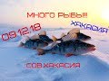 Рыбалка в Сов.Хакасии!!! Много рыбы!!! #РекМат