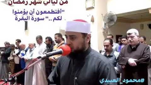 مقطع من سورة البقرة .. للشيخ محمود العبيدي