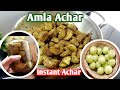         instant achar recipe  amla achar recipe