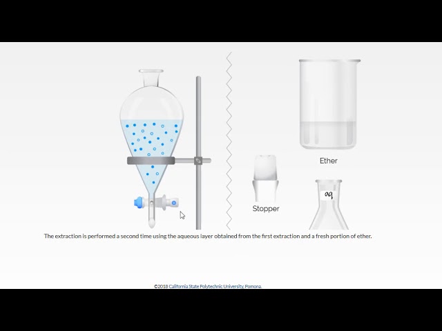 Emulsifiers - Labster