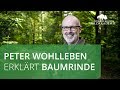 Peter Wohlleben erklärt - Baumrinde