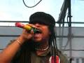 Maxi Priest Wild World 