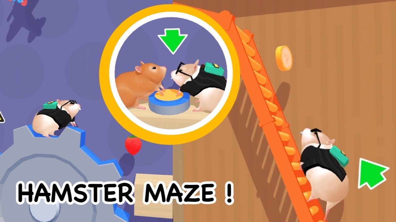 เกมส์ หนู แฮม เตอร์ บอล  New 2022  Hamster maze game เกมส์หนูแฮมเตอร์ #15 by พี่กีกี้