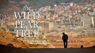The Wild Pear Tree (official trailer)