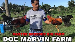 Doc Marvin Beautiful Big Farm 😍💯 Master Breeder Philippines screenshot 3