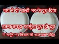 Cow gave two buckets of milk, Such a tremendous way, how to increase cow/Buffalo milk,doodh👍!
